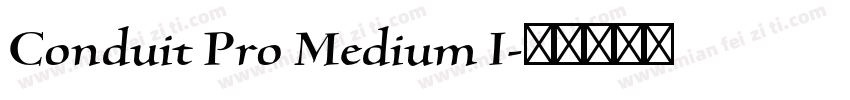 Conduit Pro Medium I字体转换